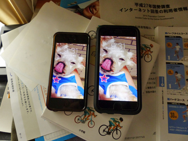 新旧のiPhoneを2台並べた写真