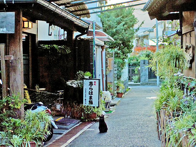 「須磨寺前商店街」にある「志らはま鮨」のお店付近の様子