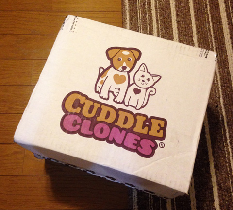 CuddleClones（カドルクローン）から届いた荷物の箱