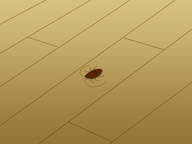 床の上にゴキブリがいるイラスト
